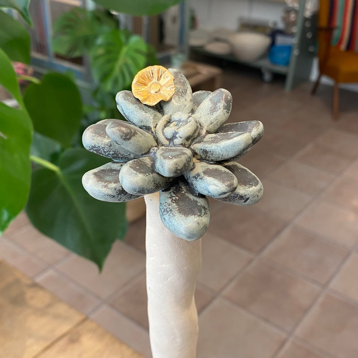 Unika skulptur, Sukkulent