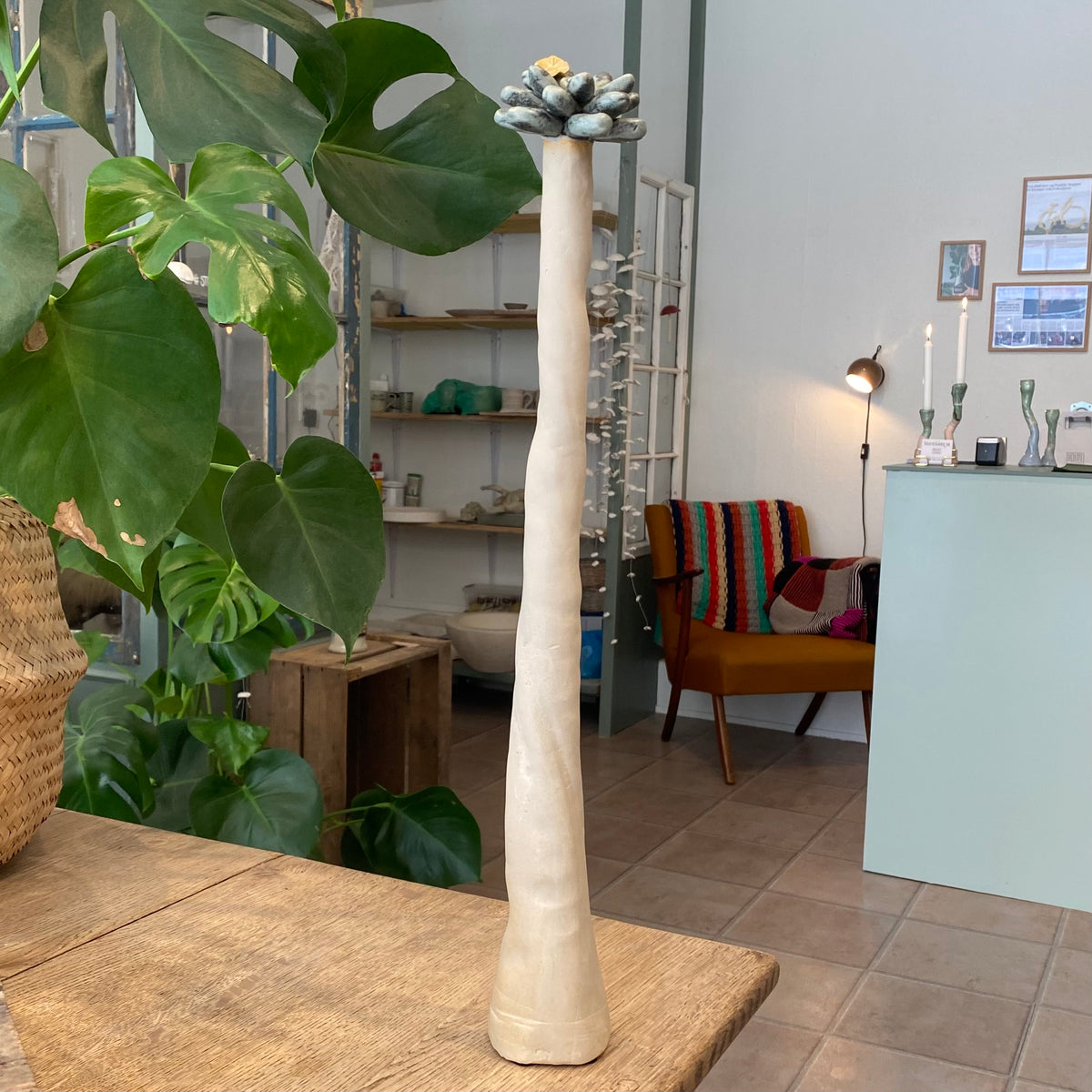 Unika skulptur, Sukkulent